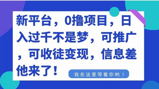 不要再花冤枉钱了，0撸项目，每天坚持，稳定1000+-灼光资源宝库