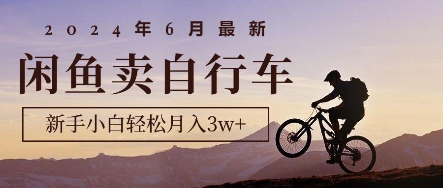 2024年6月最新闲鱼卖自行车，新手小白轻松月入3w+项目-蘑菇资源宝库