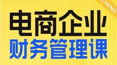 电商企业财务管理线上课，为电商企业规划财税-蘑菇资源宝库