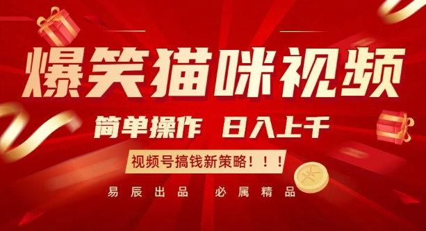 爆笑猫咪视频：简单操作，日入过K，视频号搞钱新策略【揭秘】-灼光资源宝库