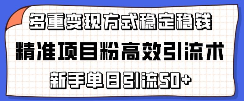精准项目粉高效引流术，新手单日引流50+，多重变现方式稳定赚钱【揭秘】-灼光资源宝库