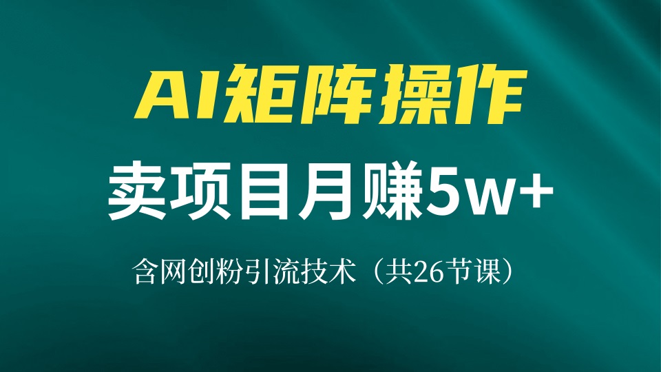 网创IP打造课，借助AI卖项目月赚5万+，含引流技术(共26节课-灼光资源宝库
