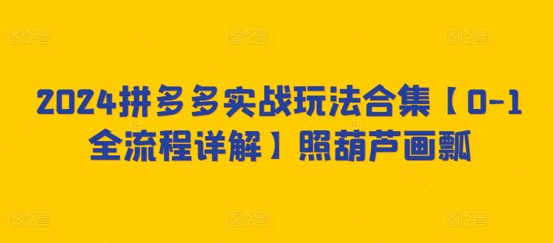 2024拼多多实战玩法合集【0-1全流程详解】照葫芦画瓢-灼光资源宝库