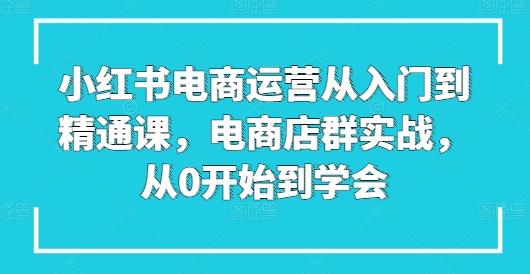 小红书电商运营从入门到精通课，电商店群实战，从0开始到学会-蘑菇资源宝库