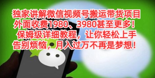 独家讲解微信视频号搬运带货项目，保姆级详细教程-灼光资源宝库