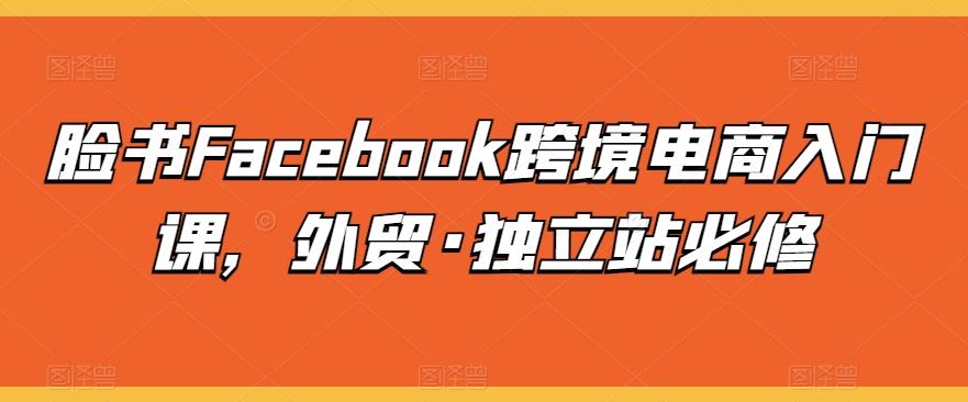 脸书Facebook跨境电商入门课，外贸·独立站必修-灼光资源宝库