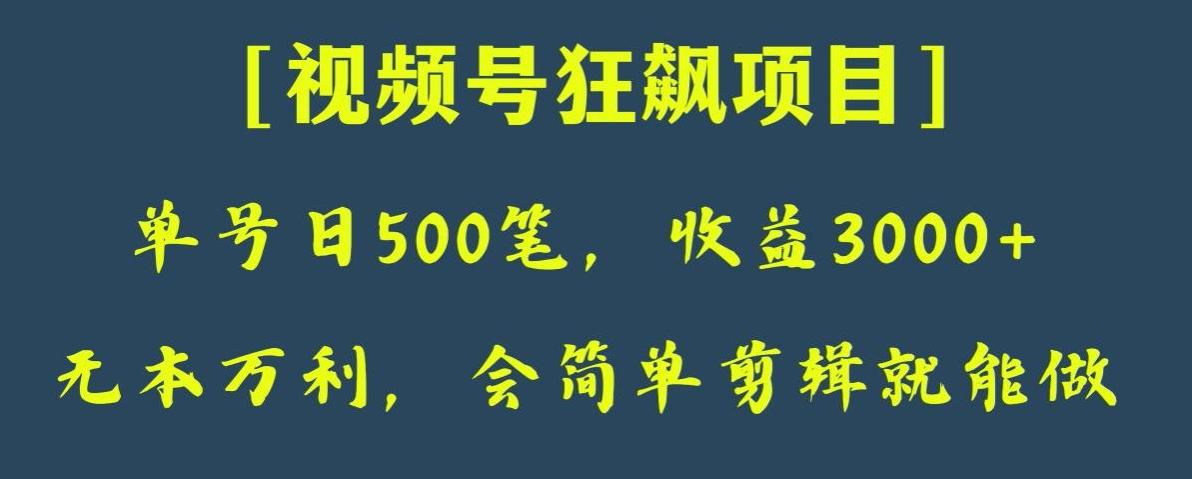 日收款500笔，纯利润3000+，视频号狂飙项目，会简单剪辑就能做【揭秘】-灼光资源宝库