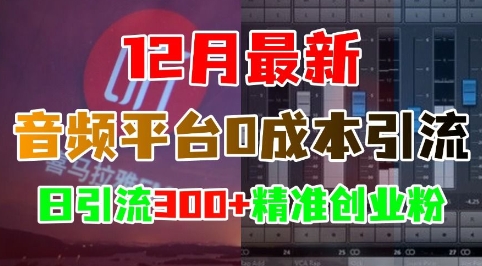 12月最新：音频平台0成本引流，日引流300+精准创业粉-灼光资源宝库