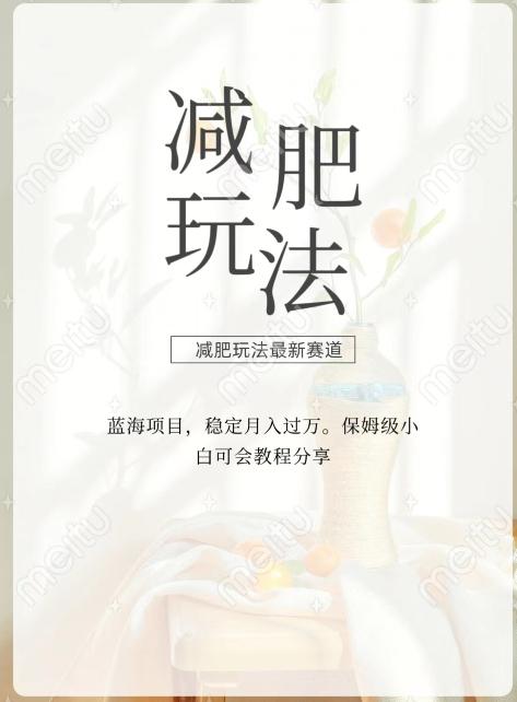 减肥流量主新玩法，轻松月入1W，可矩阵操作收入翻倍-灼光资源宝库