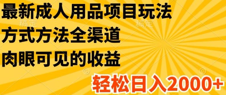 最新成人用品项目玩法，方式方法全渠道，轻松日入2K+【揭秘】-灼光资源宝库