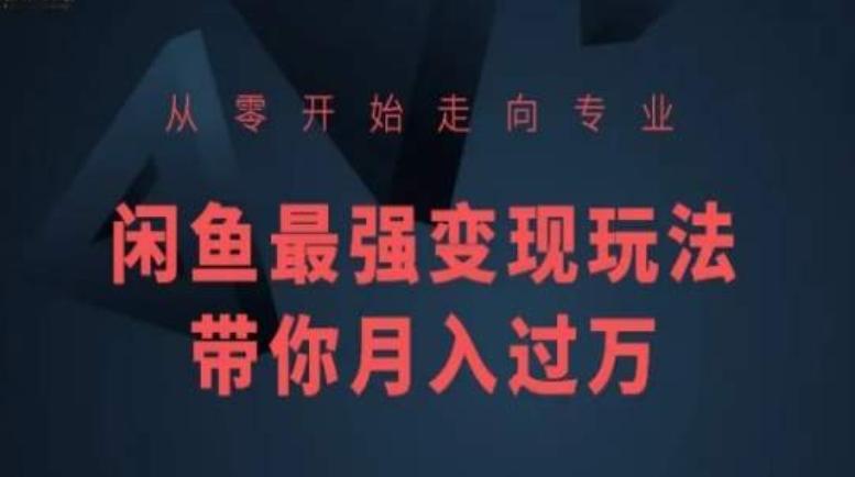 从零开始走向专业，闲鱼最强变现玩法带你月入过万-灼光资源宝库