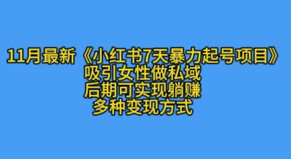 K总部落11月最新小红书7天暴力起号项目，吸引女性做私域【揭秘】-灼光资源宝库