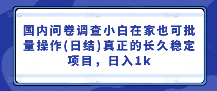 国内问卷调查小白在家也可批量操作(日结)真正的长久稳定项目，日入1k【揭秘】-灼光资源宝库