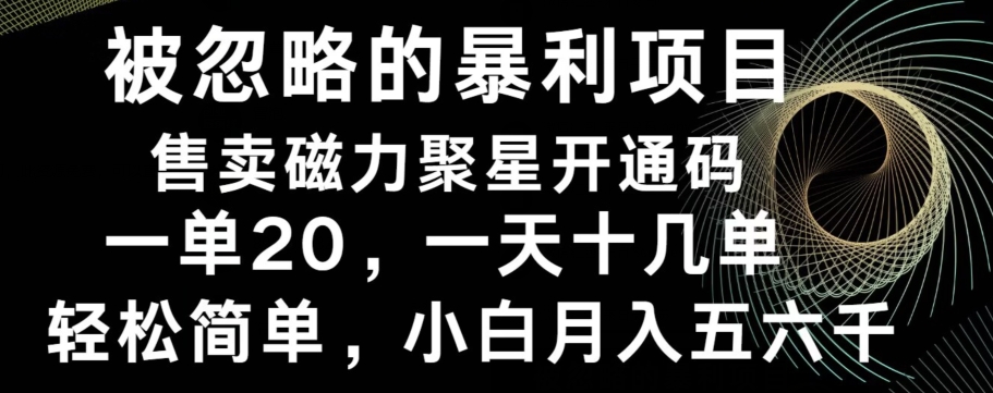 被忽略的暴利项目！售卖磁力聚星开通码，一单20，一天十几单，轻松月入五六千-灼光资源宝库