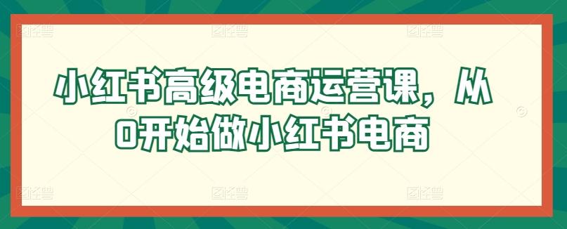 小红书高级电商运营课，从0开始做小红书电商-灼光资源宝库