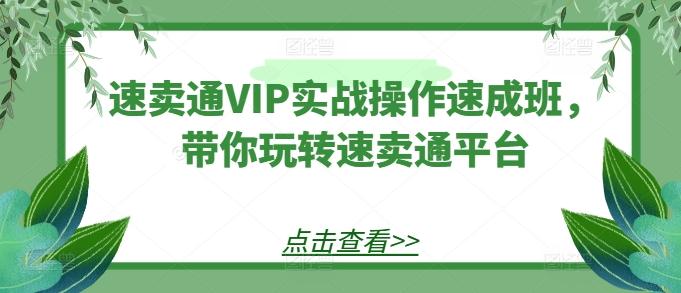 速卖通VIP实战操作速成班，带你玩转速卖通平台-蘑菇资源宝库
