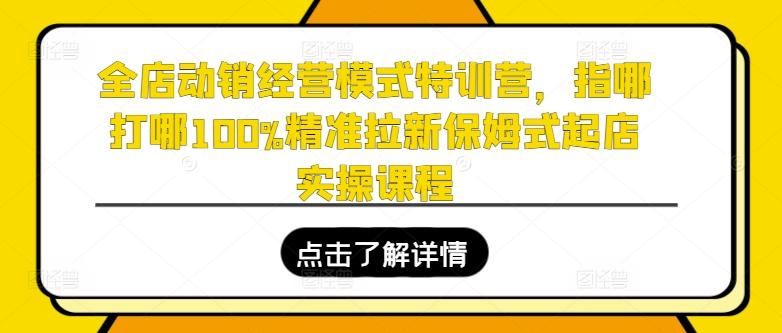 全店动销经营模式特训营，指哪打哪100%精准拉新保姆式起店实操课程-灼光资源宝库