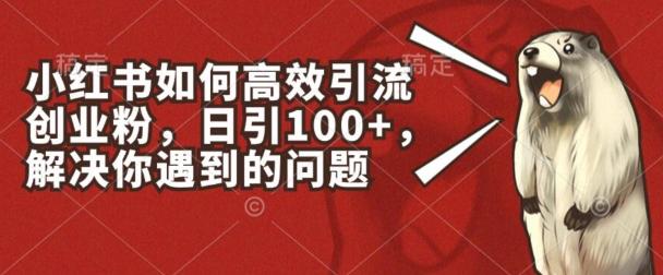 小红书如何高效引流创业粉，日引100+，解决你遇到的问题【揭秘】-灼光资源宝库