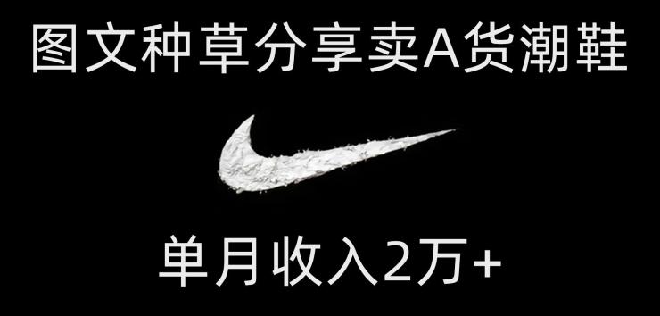靠图文种草分享卖A货潮鞋，每天一小时，单月收入2万+【揭秘】-灼光资源宝库