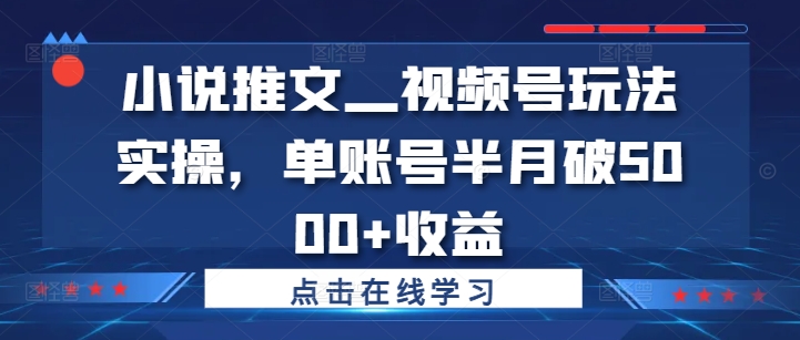 小说推文—视频号玩法实操，单账号半月破5000+收益-灼光资源宝库