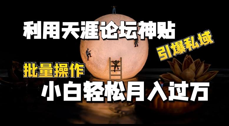 利用天涯论坛神贴，引爆私域，批量操作，小白轻松月入过w【揭秘】-灼光资源宝库