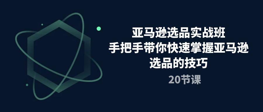 亚马逊选品实战班，手把手带你快速掌握亚马逊选品的技巧(20节课-灼光资源宝库