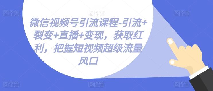 微信视频号引流课程-引流+裂变+直播+变现，获取红利，把握短视频超级流量风口-灼光资源宝库