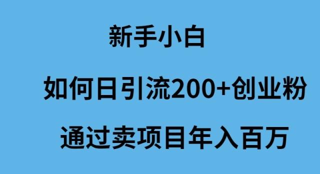 (9668期)新手小白如何日引流200+创业粉通过卖项目年入百万-灼光资源宝库