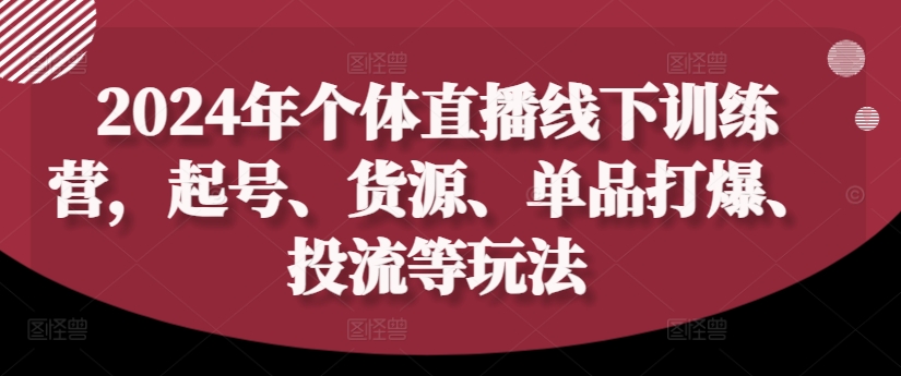 2024年个体直播训练营，起号、货源、单品打爆、投流等玩法-灼光资源宝库