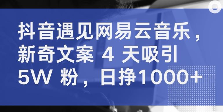 抖音遇见网易云音乐，新奇文案 4 天吸引 5W 粉，日挣1000+【揭秘】-灼光资源宝库