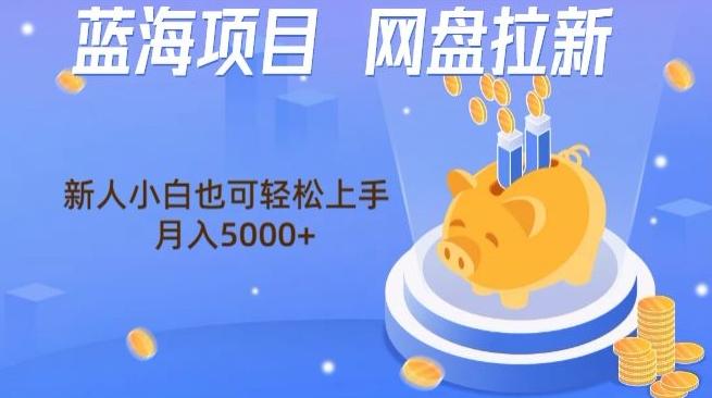 蓝海项目网盘拉新，新人小白也可操作，每月收入5000+-灼光资源宝库