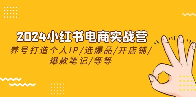2024小红书电商实战营，养号打造IP/选爆品/开店铺/爆款笔记/等等(24节)-灼光资源宝库
