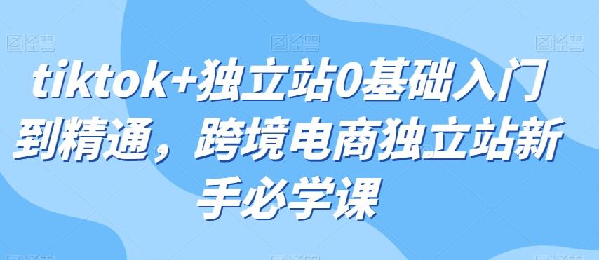 tiktok+独立站0基础入门到精通，跨境电商独立站新手必学课-灼光资源宝库