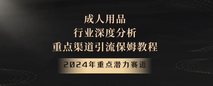 2024年重点潜力赛道，成人用品行业深度分析，重点渠道引流保姆教程【揭秘】-灼光资源宝库