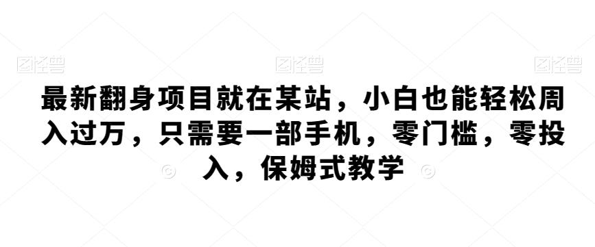 最新翻身项目就在某站,小白也能轻松周入过万,只需要一部手机,零门槛,零投入,保姆式教学-灼光资源宝库