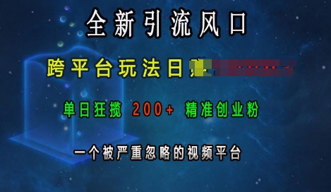 全新引流风口，跨平台玩法日入上k，单日狂揽200+精准创业粉，一个被严重忽略的视频平台-灼光资源宝库