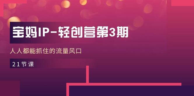 宝妈IP-轻创营第3期，人人都能抓住的流量风口(21节课-灼光资源宝库