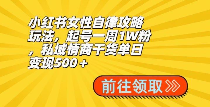 小红书女性自律攻略玩法，起号一周1W粉，私域情商干货单日变现500＋-灼光资源宝库