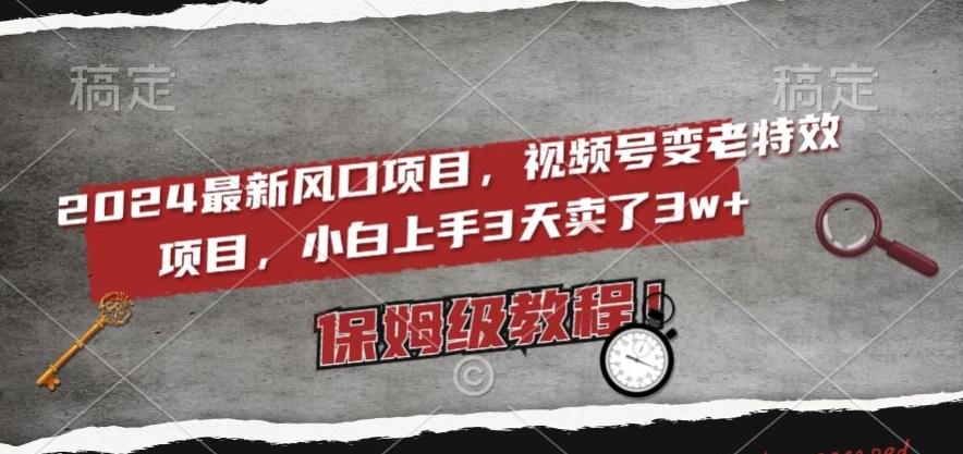 2024最新风口项目，视频号变老特效项目，电脑小白上手3天卖了3w+，保姆级教程【揭秘】-灼光资源宝库