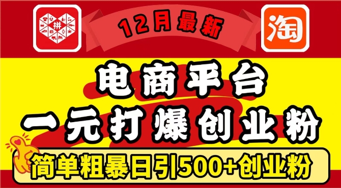 12月最新：电商平台1元打爆创业粉，简单粗暴日引500+精准创业粉，轻松月入过W【揭秘】-灼光资源宝库