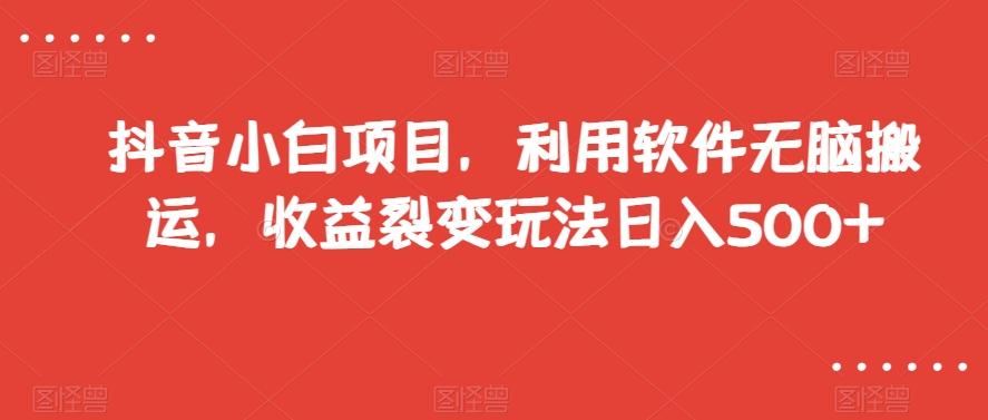 抖音小白项目，利用软件无脑搬运，收益裂变玩法日入500+【揭秘】-灼光资源宝库