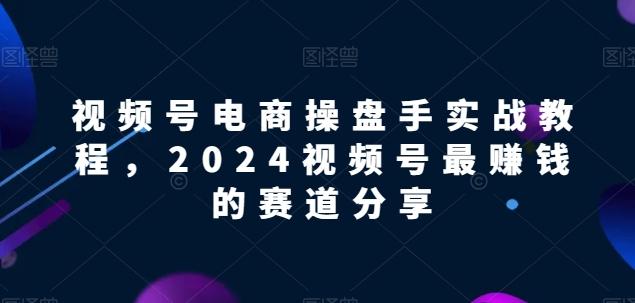 视频号电商实战教程，2024视频号最赚钱的赛道分享-灼光资源宝库