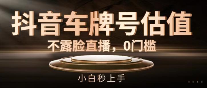 抖音车牌号估值，不露脸直播，0门槛，小白秒上手【揭秘】-灼光资源宝库