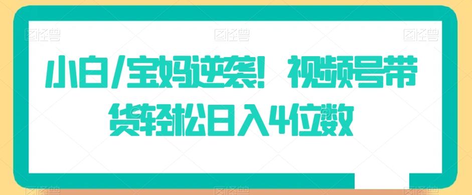 小白/宝妈逆袭！视频号带货轻松日入4位数【揭秘】-灼光资源宝库