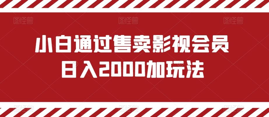 小白通过售卖影视会员日入2000加玩法-灼光资源宝库