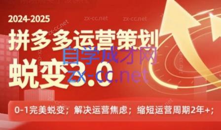 大力老师·2024拼多多运营策略蜕变3.0-资源宝库