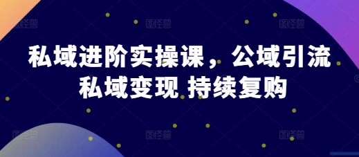 私域进阶实操课，公域引流 私域变现 持续复购-灼光资源宝库
