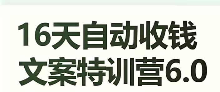 16天自动收钱文案特训营6.0，学会儿每天自动咔咔收钱-灼光资源宝库