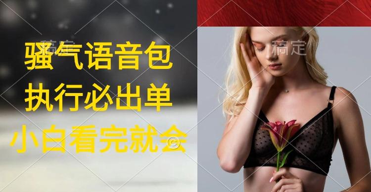 (9589期)执行就出单，日入2000+，超火骚气语音包，小白看完课程就能马上实操-灼光资源宝库