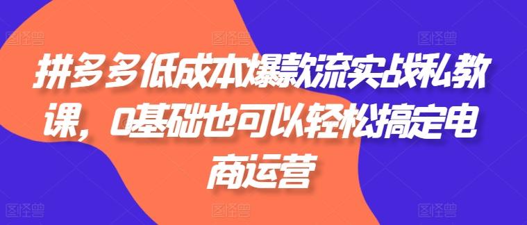 拼多多低成本爆款流实战私教课，0基础也可以轻松搞定电商运营-灼光资源宝库